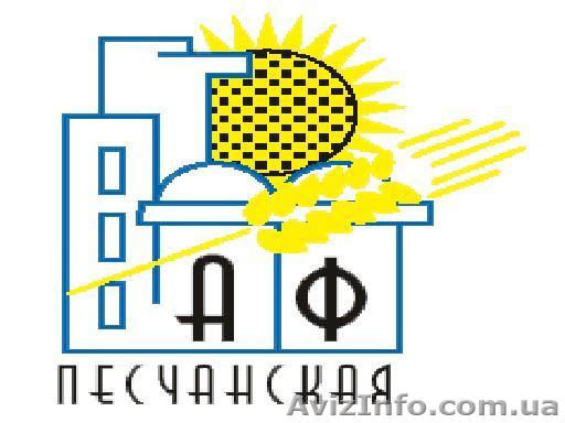 СЕМЕНА (097) 528-04-46 от производителя! - <ro>Изображение</ro><ru>Изображение</ru> #1, <ru>Объявление</ru> #19574