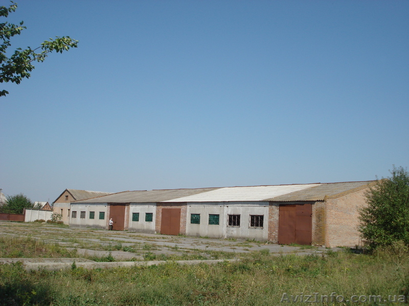 Производственная база в курортном г. Миргород - <ro>Изображение</ro><ru>Изображение</ru> #1, <ru>Объявление</ru> #50088