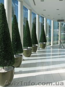 Приведение документов АО в соответствие с законом - <ro>Изображение</ro><ru>Изображение</ru> #1, <ru>Объявление</ru> #163894