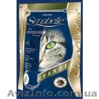 Корм  Бош-Bosch  для собак и щенков по оптовым ценам! - <ro>Изображение</ro><ru>Изображение</ru> #1, <ru>Объявление</ru> #315399