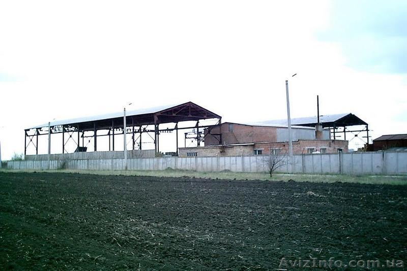 Действующая деревоперерабатывающая база - <ro>Изображение</ro><ru>Изображение</ru> #1, <ru>Объявление</ru> #364851