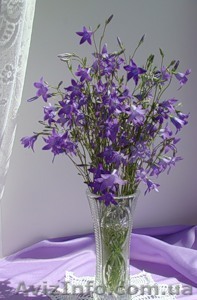 овсяная мука  - производитель! - <ro>Изображение</ro><ru>Изображение</ru> #1, <ru>Объявление</ru> #390203