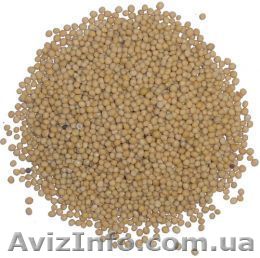 Горчицу жёлтую! - <ro>Изображение</ro><ru>Изображение</ru> #1, <ru>Объявление</ru> #424562