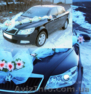 Свадебный кортедж - <ro>Изображение</ro><ru>Изображение</ru> #1, <ru>Объявление</ru> #453810