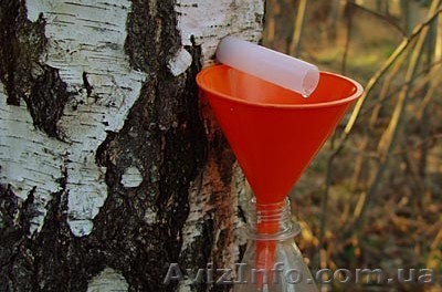 продам свежий сок березовый - <ro>Изображение</ro><ru>Изображение</ru> #1, <ru>Объявление</ru> #613687