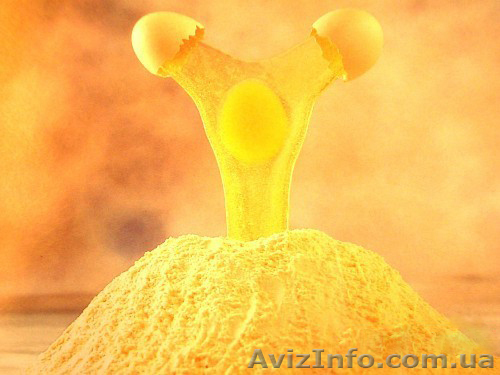 Яичный порошок. - <ro>Изображение</ro><ru>Изображение</ru> #1, <ru>Объявление</ru> #706917