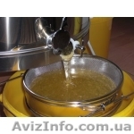 Продаю мед оптом. - <ro>Изображение</ro><ru>Изображение</ru> #1, <ru>Объявление</ru> #875868