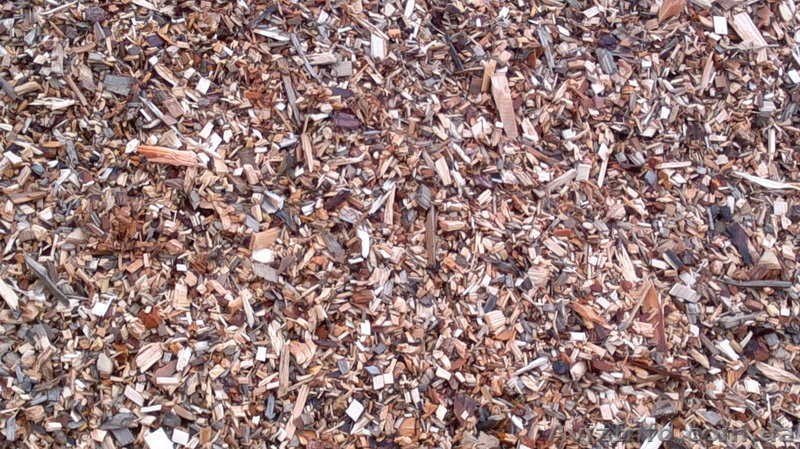 Альтернатив Транспорт - <ro>Изображение</ro><ru>Изображение</ru> #1, <ru>Объявление</ru> #884310