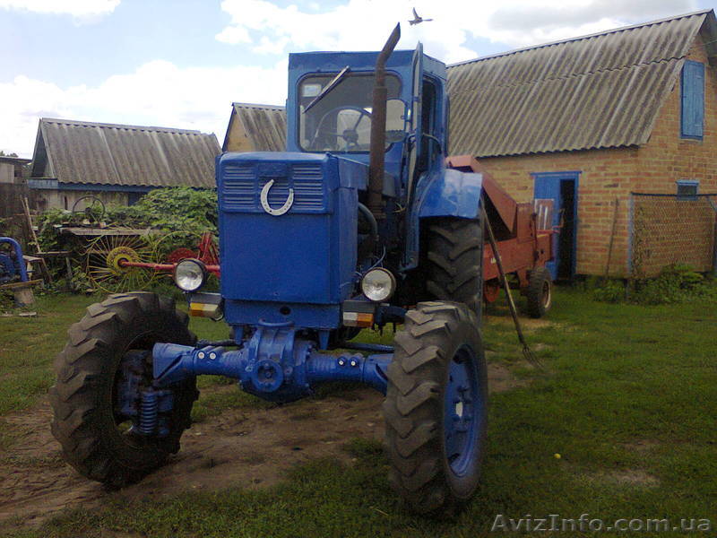 Полтавская обл. Таран Александр. 380955640703 - <ro>Изображение</ro><ru>Изображение</ru> #1, <ru>Объявление</ru> #968321