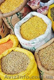 Скупаем зерновые и масличные культуры разных качеств - <ro>Изображение</ro><ru>Изображение</ru> #1, <ru>Объявление</ru> #967237