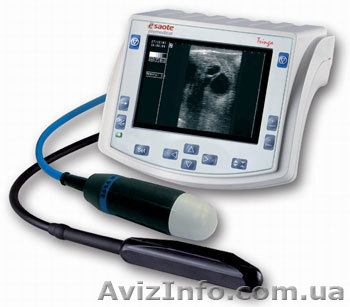 Ультразвуковой аппарат Tringa VET - <ro>Изображение</ro><ru>Изображение</ru> #1, <ru>Объявление</ru> #977973