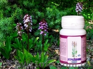 Ятрышник (кукушкины слезки, салеп)Orchis L. - <ro>Изображение</ro><ru>Изображение</ru> #1, <ru>Объявление</ru> #1006083