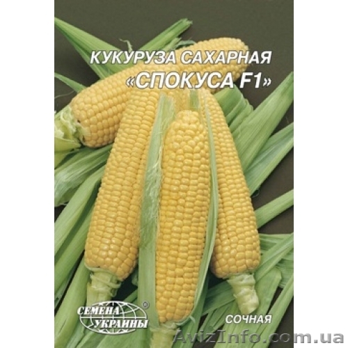 Сахарная Спокуса F1 20 г - <ro>Изображение</ro><ru>Изображение</ru> #1, <ru>Объявление</ru> #1011484