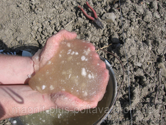 Гидрогель для растений - <ro>Изображение</ro><ru>Изображение</ru> #1, <ru>Объявление</ru> #1153989