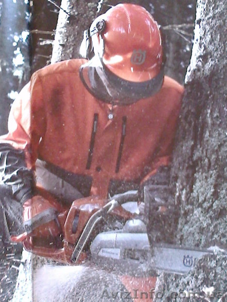 обрезка спил деревьев.полтава  - <ro>Изображение</ro><ru>Изображение</ru> #1, <ru>Объявление</ru> #1211557