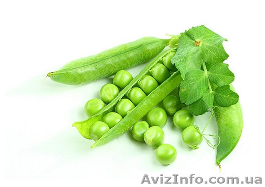 Продам насіння овочевого гороху - <ro>Изображение</ro><ru>Изображение</ru> #1, <ru>Объявление</ru> #1253626