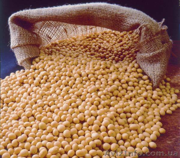 Насіння сої Валюта, Даная, Сяйво, Медісон - <ro>Изображение</ro><ru>Изображение</ru> #1, <ru>Объявление</ru> #1253597