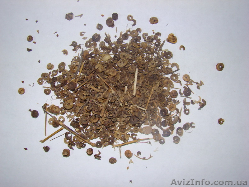 Куплю насіння люцерни для власних потреб - <ro>Изображение</ro><ru>Изображение</ru> #1, <ru>Объявление</ru> #1253613