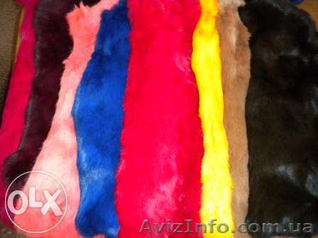 Двухнедельные курсы меховщиков и кожевников - <ro>Изображение</ro><ru>Изображение</ru> #1, <ru>Объявление</ru> #1295544