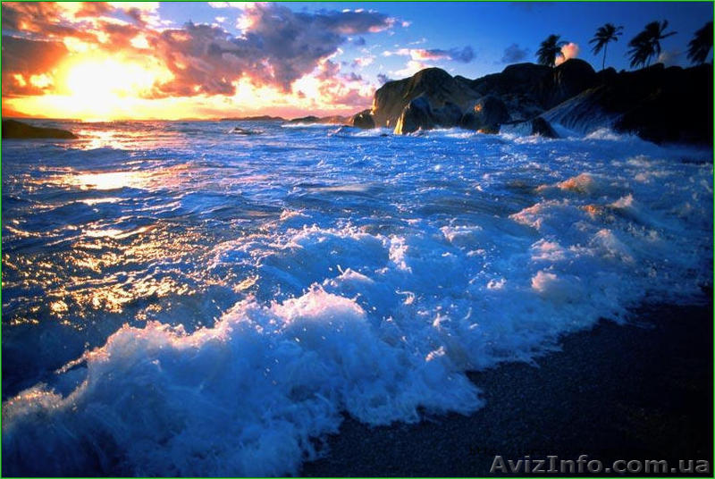  Отдых на Черном море - <ro>Изображение</ro><ru>Изображение</ru> #1, <ru>Объявление</ru> #1285568