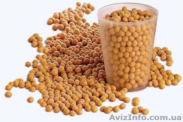 Насіння сої ГМО - <ro>Изображение</ro><ru>Изображение</ru> #1, <ru>Объявление</ru> #1333436