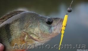 приложение на android. - <ro>Изображение</ro><ru>Изображение</ru> #1, <ru>Объявление</ru> #1431502