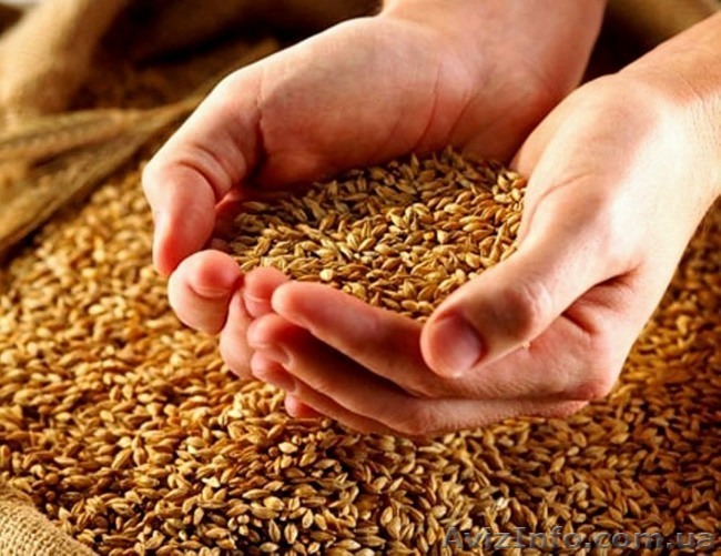 Карбамид(мочевина) - <ro>Изображение</ro><ru>Изображение</ru> #1, <ru>Объявление</ru> #1489883