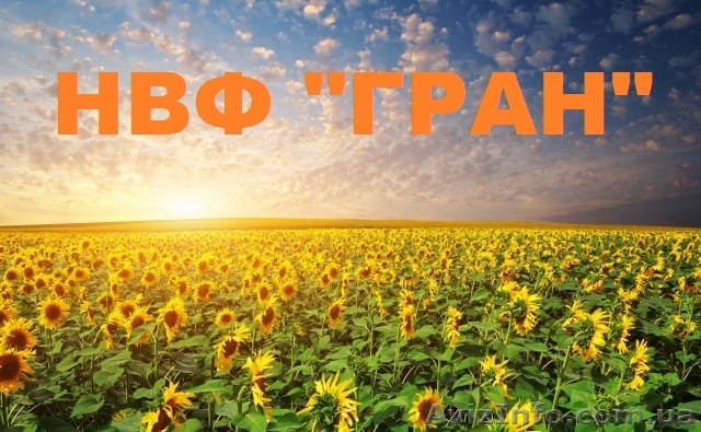 Посівний матеріал (інкрустований) під євро-лайтингАрмагедон», «Карлос 105» - <ro>Изображение</ro><ru>Изображение</ru> #1, <ru>Объявление</ru> #1506741