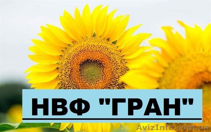 Посівний матеріал (інкрустований) під євро-лайтинг «Армагедон»,  - <ro>Изображение</ro><ru>Изображение</ru> #1, <ru>Объявление</ru> #1506743