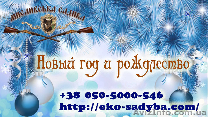 Новогодний отдых на базе отдыха в Полтавской области - <ro>Изображение</ro><ru>Изображение</ru> #1, <ru>Объявление</ru> #1518285