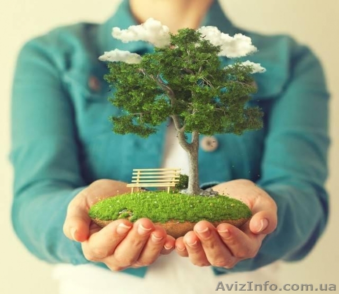 Приватизація садової ділянки. Приватизація дачної ділянки - <ro>Изображение</ro><ru>Изображение</ru> #1, <ru>Объявление</ru> #1579514