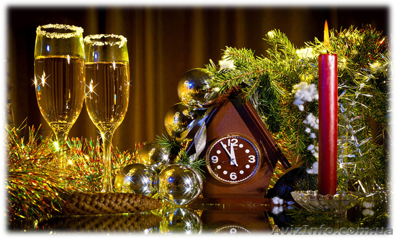 Новый год на загородной базе - <ro>Изображение</ro><ru>Изображение</ru> #1, <ru>Объявление</ru> #1639235