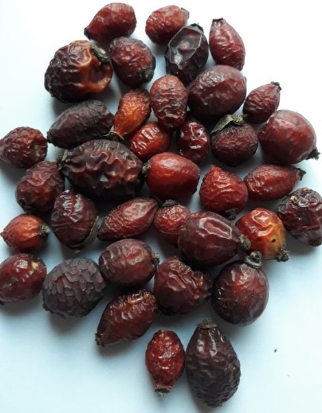 Шиповник сушеный. - <ro>Изображение</ro><ru>Изображение</ru> #1, <ru>Объявление</ru> #1666574