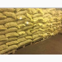 Продам горіх оптом калібрований - <ro>Изображение</ro><ru>Изображение</ru> #1, <ru>Объявление</ru> #1694855