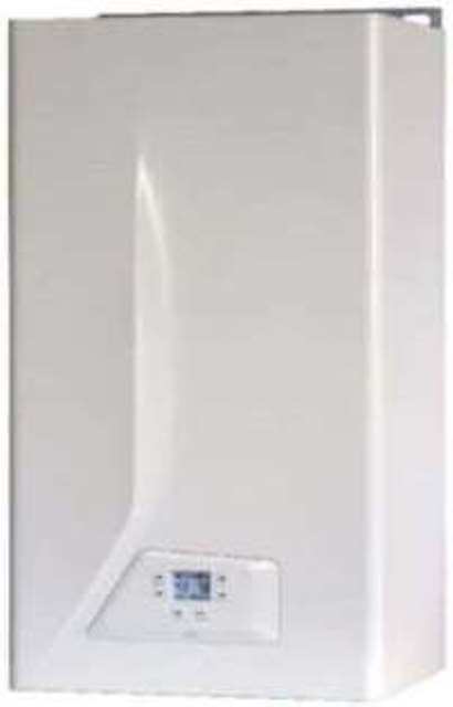 Газовый двухконтурный котел. Производство Италия. - <ro>Изображение</ro><ru>Изображение</ru> #1, <ru>Объявление</ru> #1697648