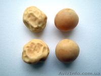 ООО Агро Легион - <ro>Изображение</ro><ru>Изображение</ru> #9, <ru>Объявление</ru> #173452