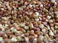 ООО Агро Легион - <ro>Изображение</ro><ru>Изображение</ru> #2, <ru>Объявление</ru> #173452