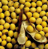 ООО Агро Легион - <ro>Изображение</ro><ru>Изображение</ru> #5, <ru>Объявление</ru> #173452