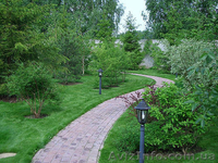 Озеленение и благоустройство территории - <ro>Изображение</ro><ru>Изображение</ru> #3, <ru>Объявление</ru> #295563