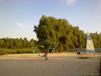 Продам 1-км. кв-ру в пгт Велика Багачка,Полтавская область. - <ro>Изображение</ro><ru>Изображение</ru> #5, <ru>Объявление</ru> #327850