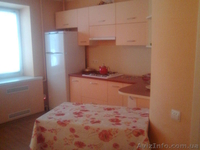 Сдам квартиру в Полтаве, сейчас свободна - <ro>Изображение</ro><ru>Изображение</ru> #1, <ru>Объявление</ru> #356345