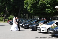 Весілля та пасажирські перевезення по Україні - <ro>Изображение</ro><ru>Изображение</ru> #3, <ru>Объявление</ru> #393637