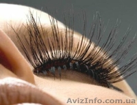 Наращивание ресничек не дорого!!! - <ro>Изображение</ro><ru>Изображение</ru> #1, <ru>Объявление</ru> #409193