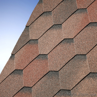 Битумная черпица от производителя - <ro>Изображение</ro><ru>Изображение</ru> #6, <ru>Объявление</ru> #202579