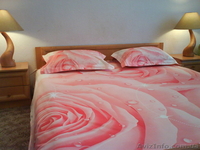 Сдам посуточно дом в Миргороде . - <ro>Изображение</ro><ru>Изображение</ru> #2, <ru>Объявление</ru> #333553