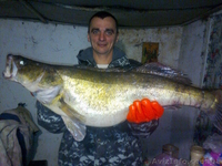 Турбаза Тополь возле с Келеберда - <ro>Изображение</ro><ru>Изображение</ru> #4, <ru>Объявление</ru> #577278