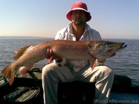 Турбаза Тополь возле с Келеберда - <ro>Изображение</ro><ru>Изображение</ru> #2, <ru>Объявление</ru> #577278