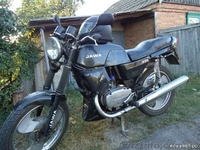 Віддам у добрі руки - <ro>Изображение</ro><ru>Изображение</ru> #1, <ru>Объявление</ru> #576028