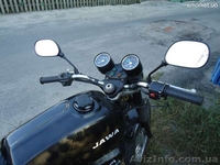 Віддам у добрі руки - <ro>Изображение</ro><ru>Изображение</ru> #2, <ru>Объявление</ru> #576028