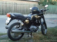 Віддам у добрі руки - <ro>Изображение</ro><ru>Изображение</ru> #3, <ru>Объявление</ru> #576028